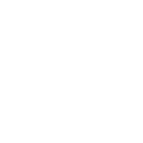 Laptop Tick