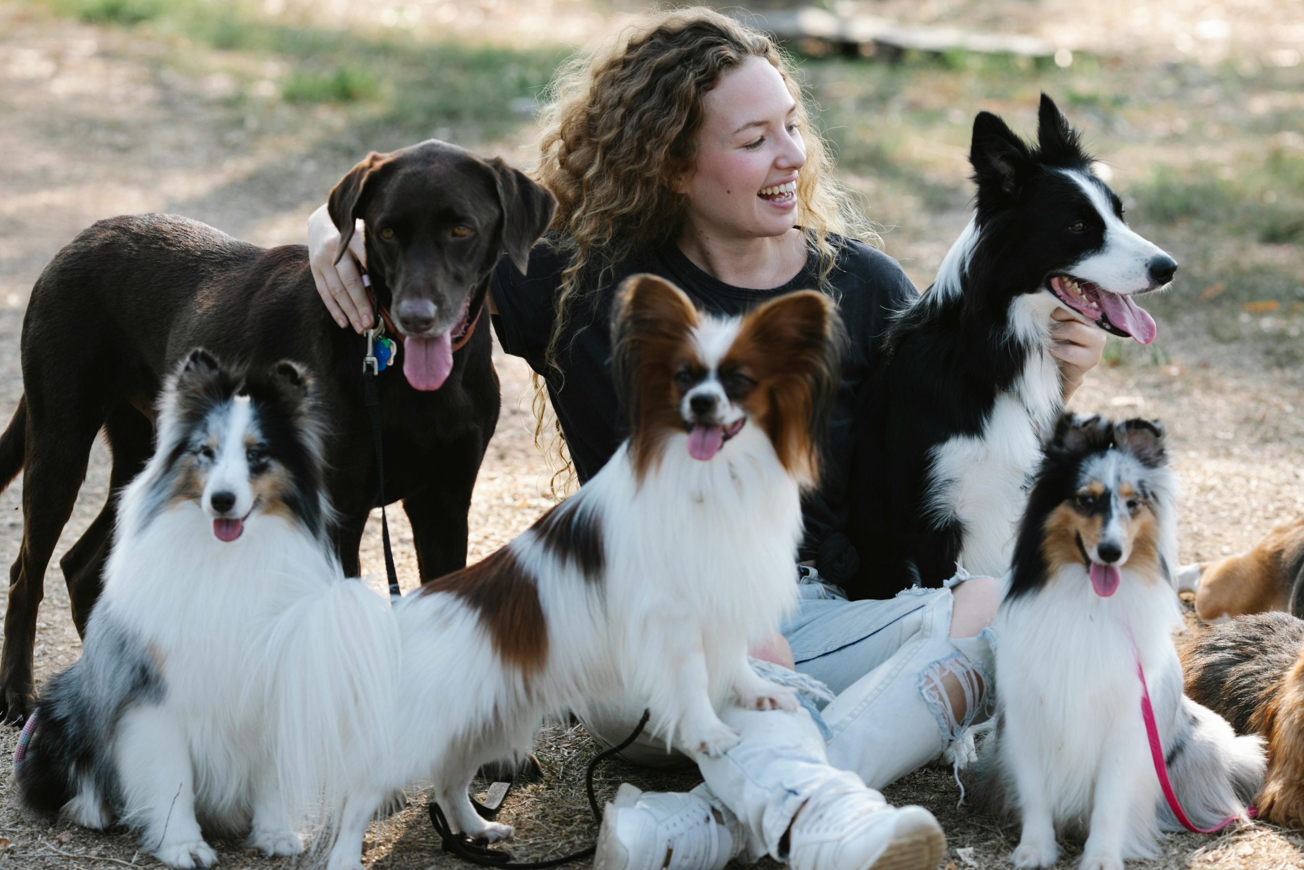 woman with dogs Woman with lots of dogs