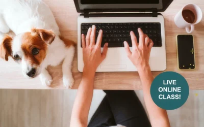 How to Effectively Use AI Marketing to Grow Your Business and Save Time, Energy and Money